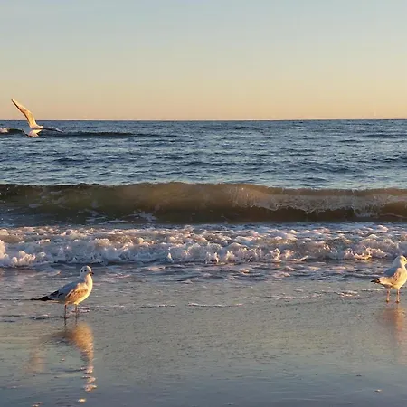 Appartement Awesome In Niechorze