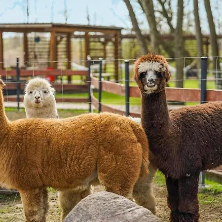 Appartement Awesome In