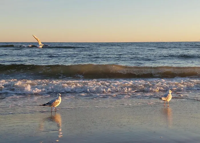 Appartamento Awesome In Niechorze