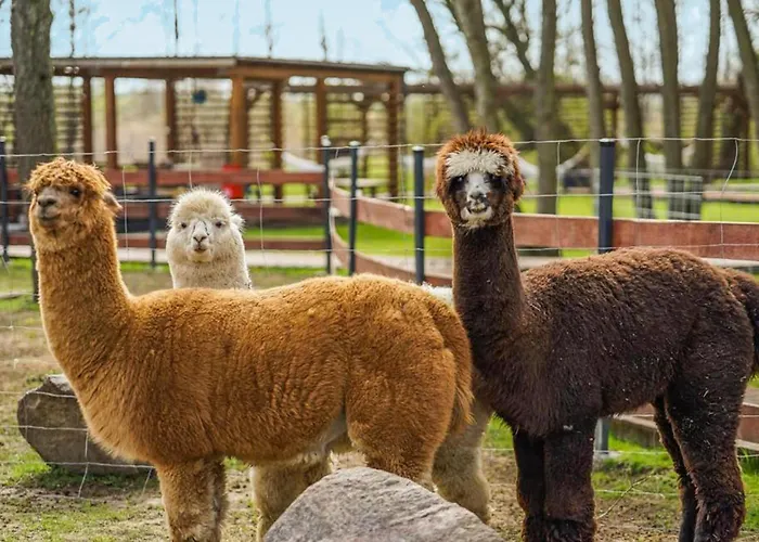 Appartamento Awesome In